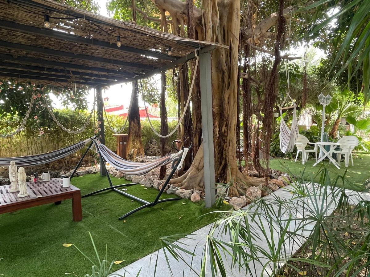 Habitación con cama extra doble más sofa cama apta hasta para 4 personas con baño privado San Vicente Raspeig Exterior foto